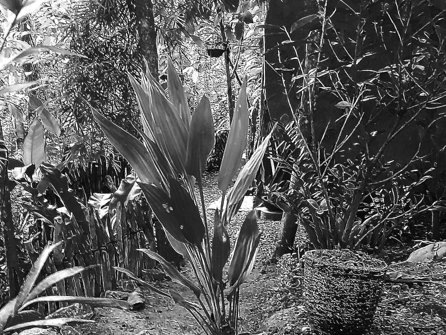 Linu Homestay Dikwella Extérieur photo