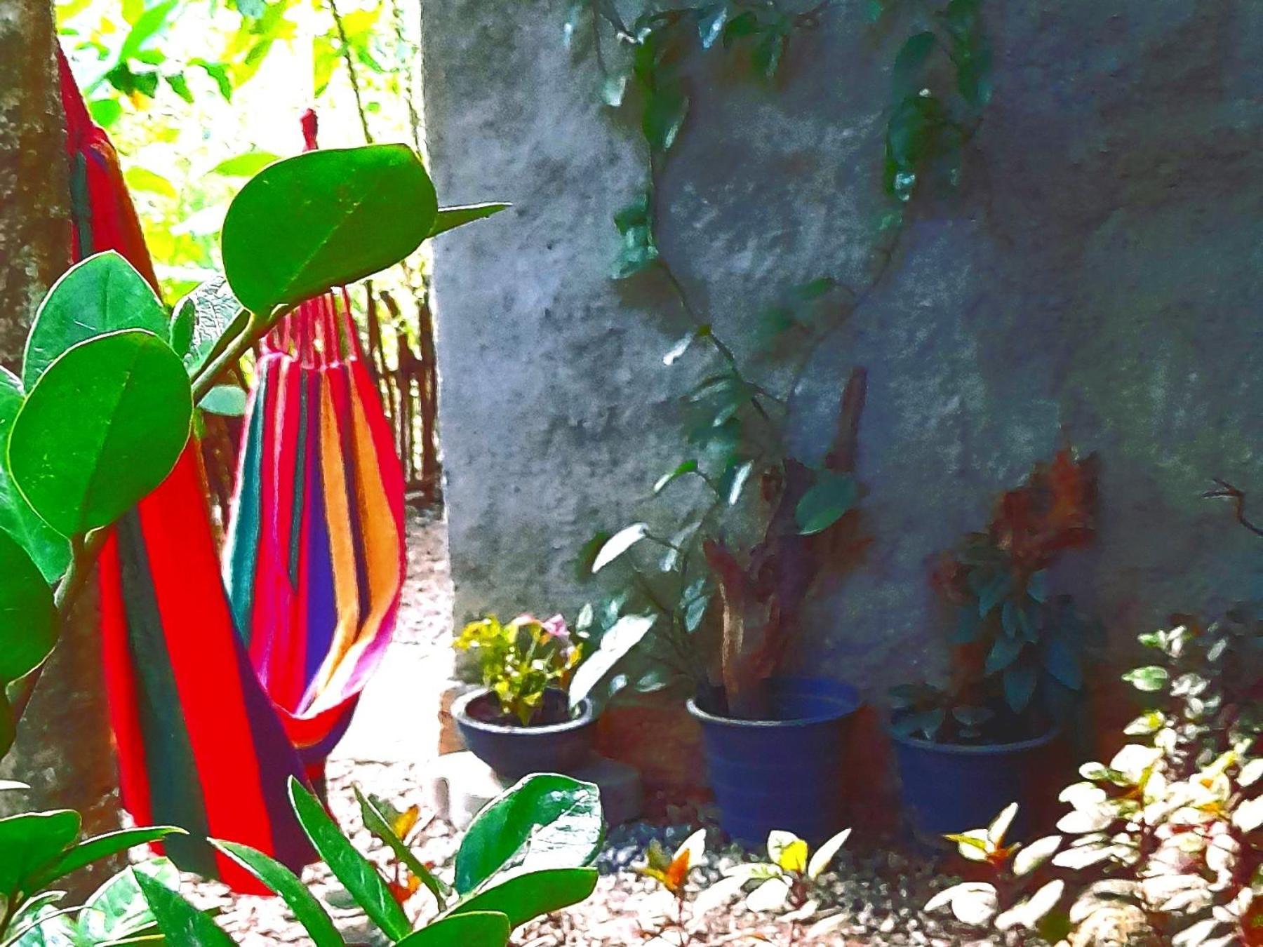 Linu Homestay Dikwella Extérieur photo