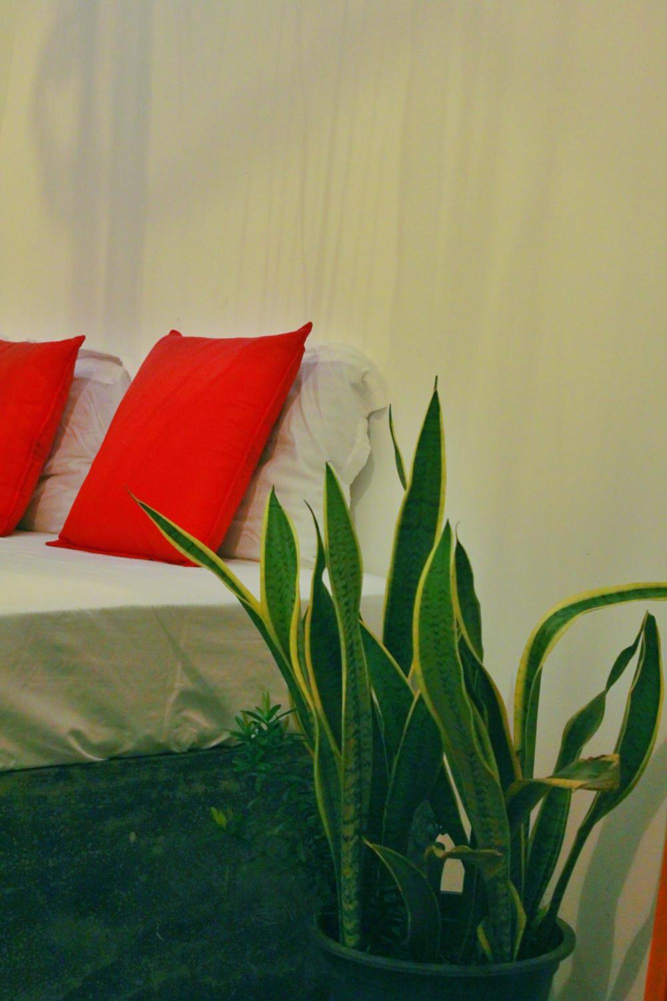 Linu Homestay Dikwella Extérieur photo